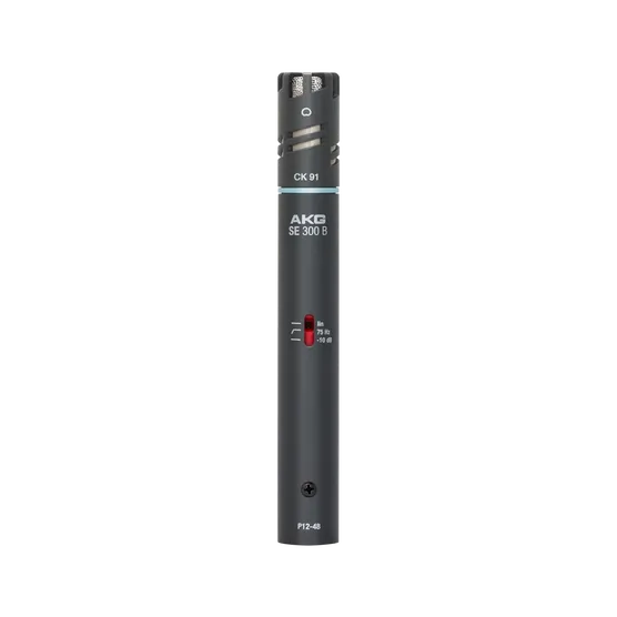 AKG C391 B