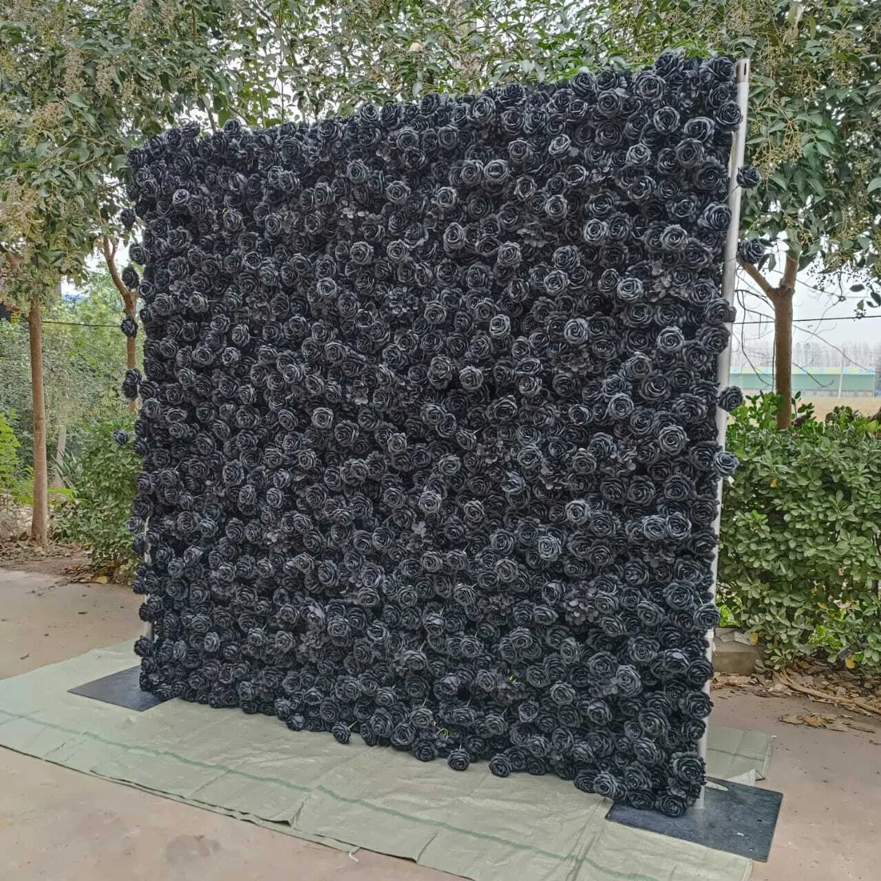 Mur de fleur noir