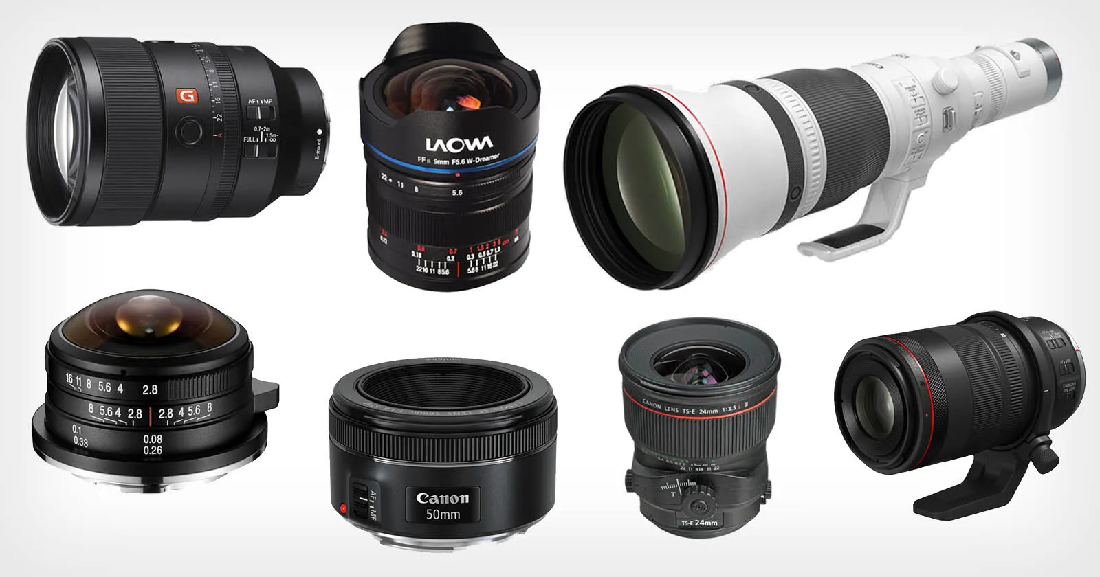 Cameras and Lenses