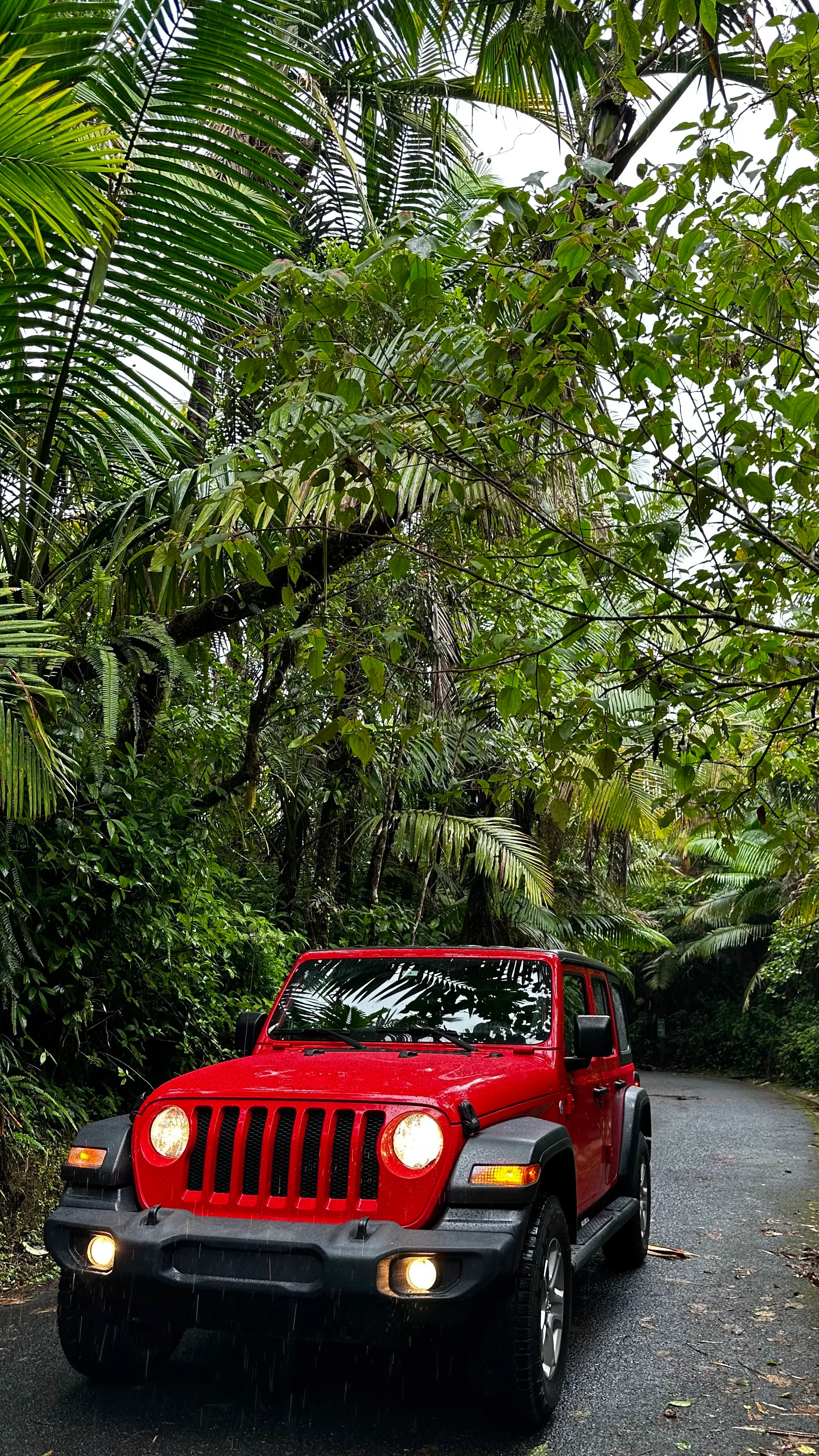 4-Door Jeep Wangler Basic