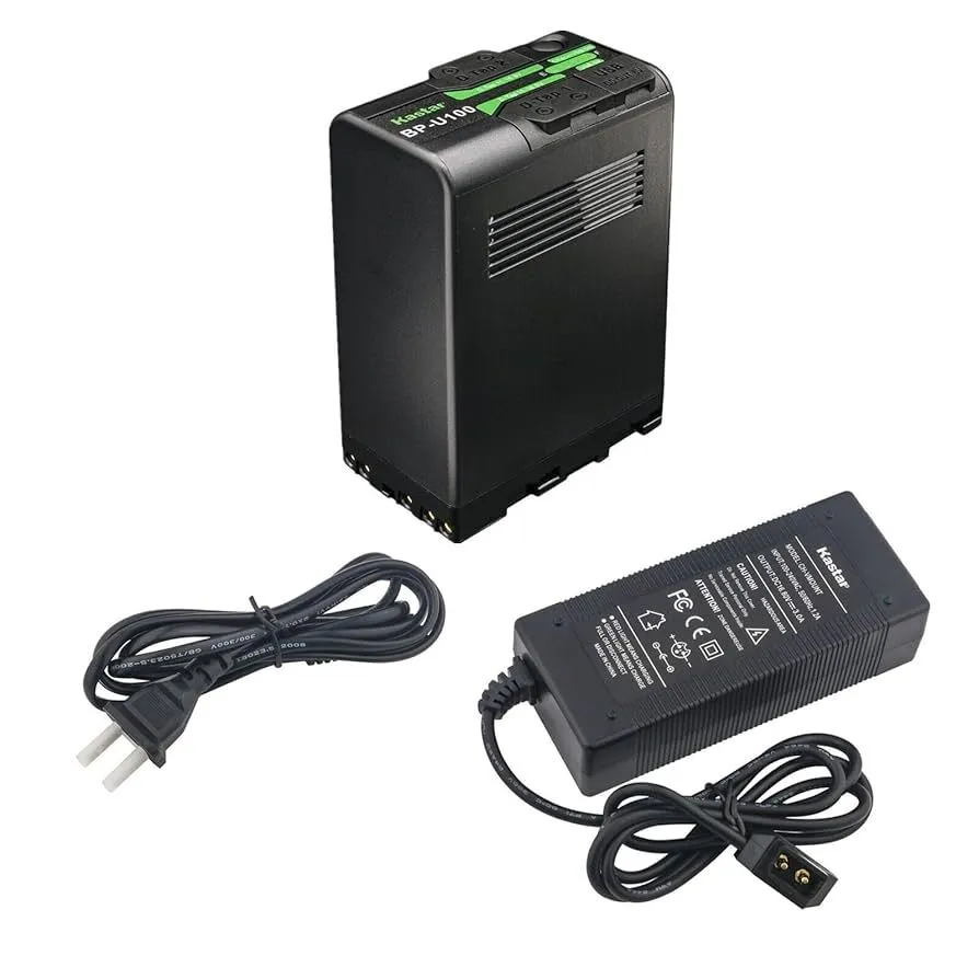 NP-U35 DC Charger