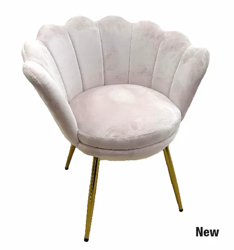 Shell Chair
