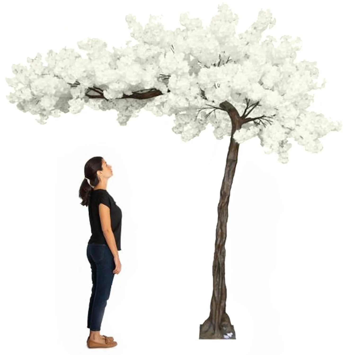 Cherry Blossom Tree (Curved)