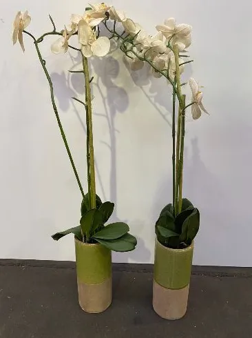 Artificial Orchid