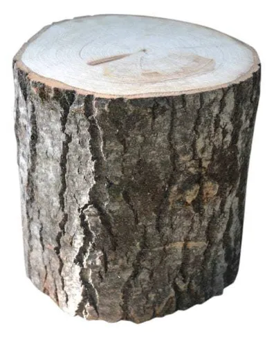 Wooden Stump