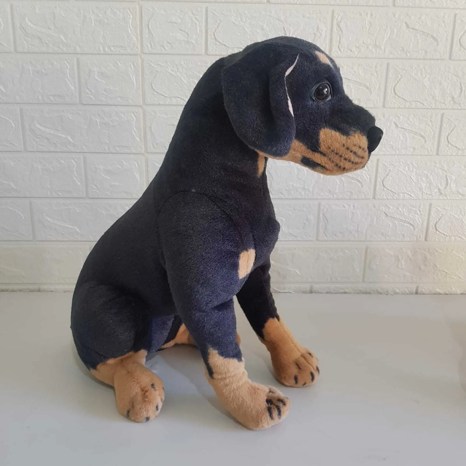 S1741 Rottweiler