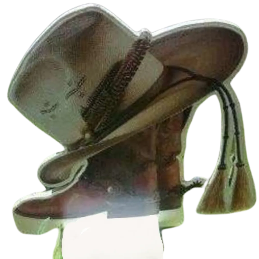 S1173 Cowboy Boots