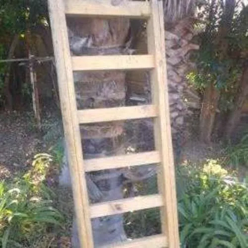S1095 Ladder