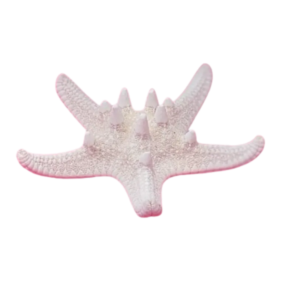 S1587 Starfish