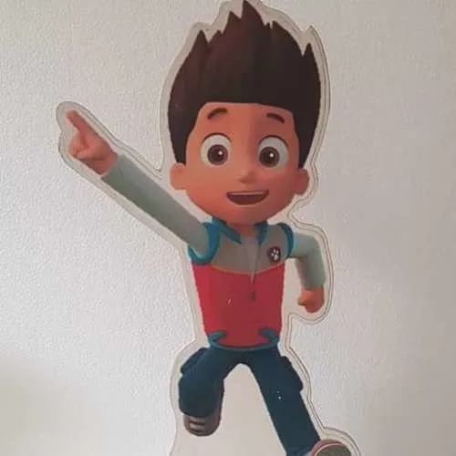 S746 Ryder Cut Out