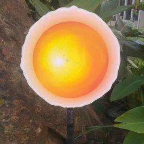 S1049 Sun