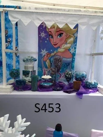 S453 Kiosk - White Frame and Frozen Elsa Canopy Cover ONLY