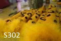 S302 Leopard Tail - 22cm Long