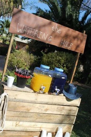 S317 Watering Hole