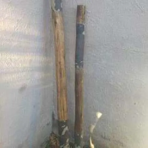 S1096 Poles