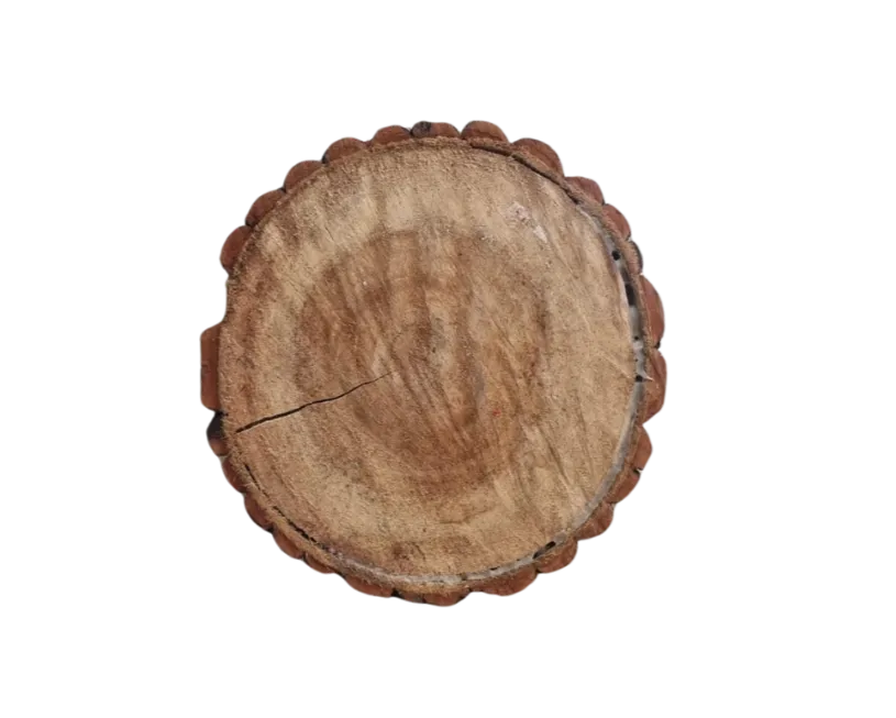 S1240 Log Slice