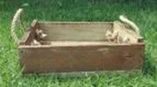 S554 Wood Container