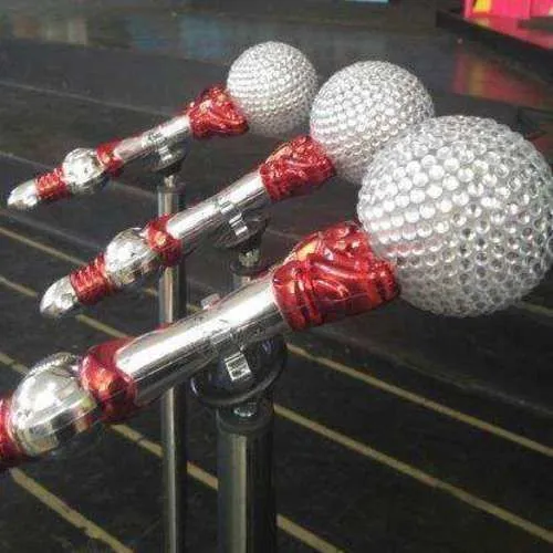 S1029 Mic s