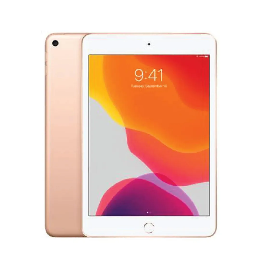 iPad mini 5 Wi-Fi + Cell