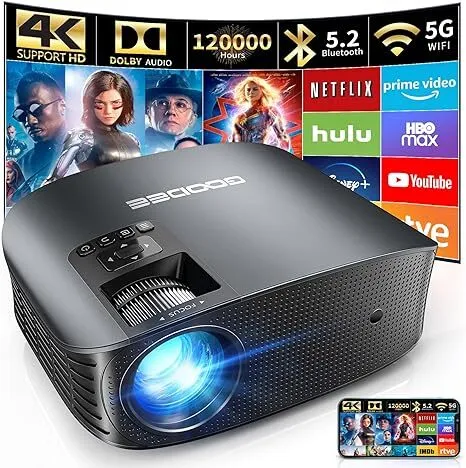 Projector