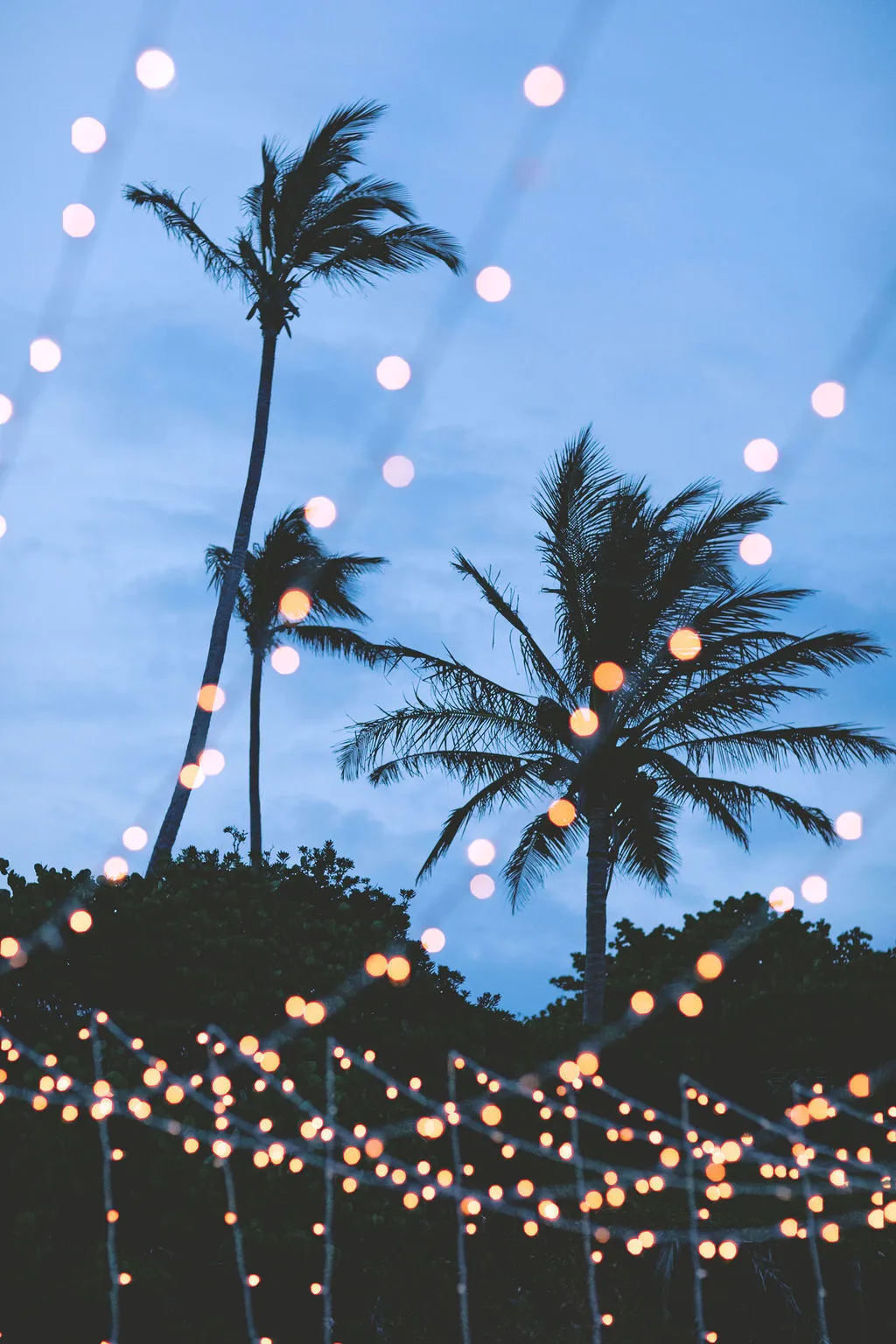 Fairy Lighting