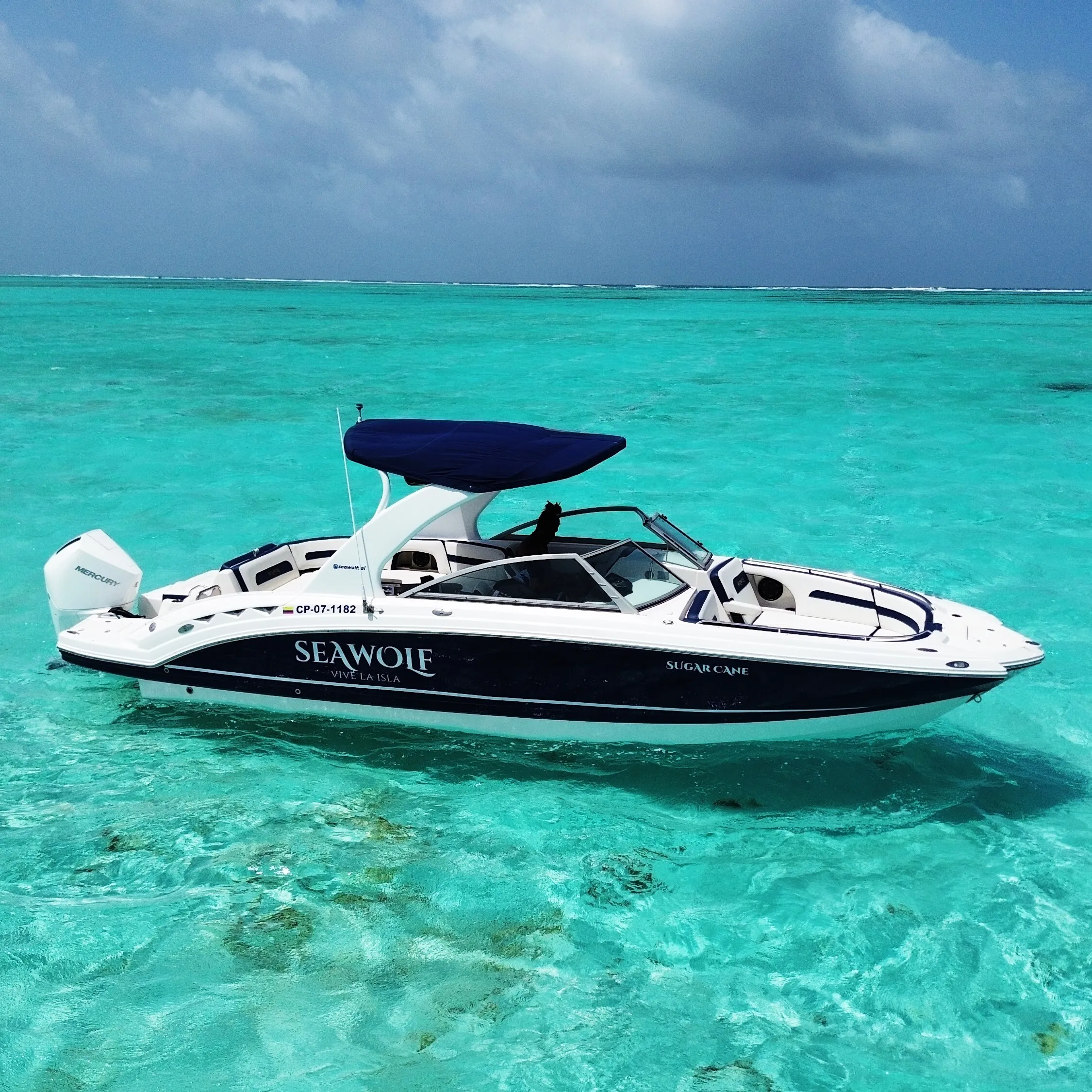 Sugar Cane Yatch