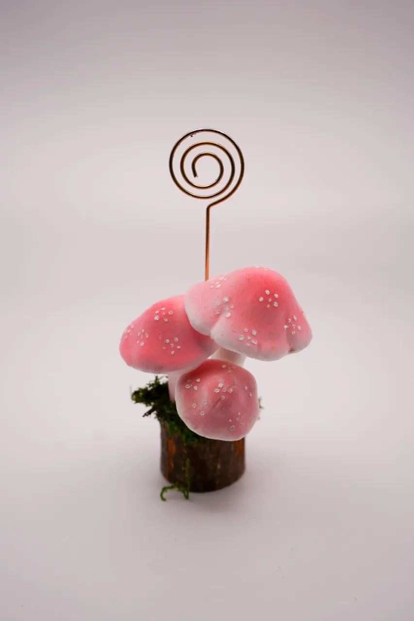 Mushroom Name Place Holder/Picture holder