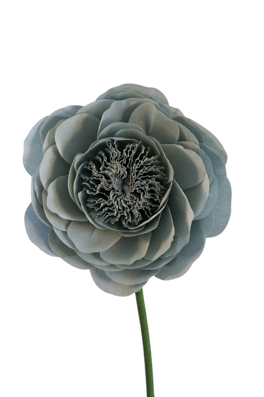 Sage David Austin Rose 
