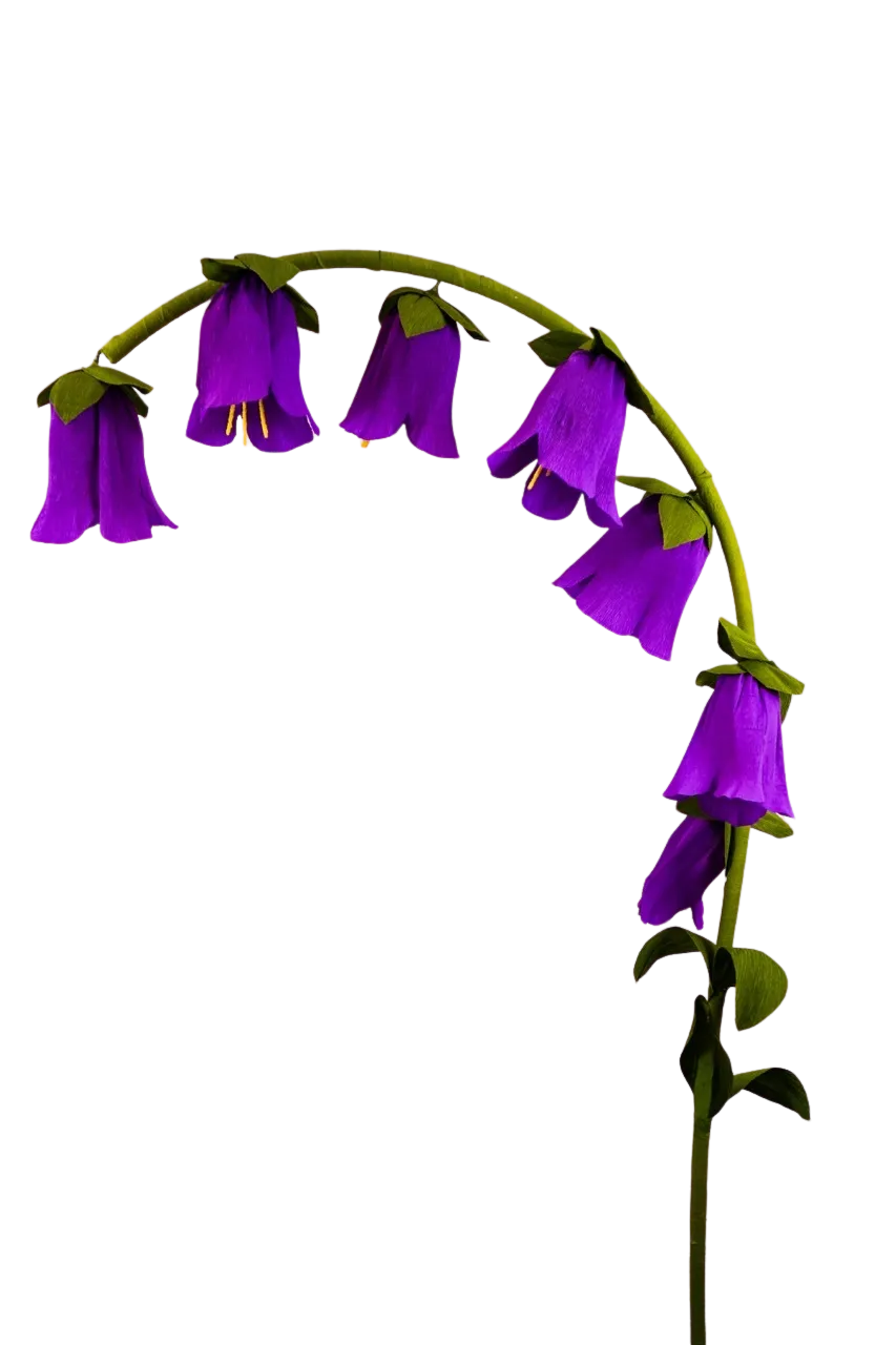Purple Bell Flower