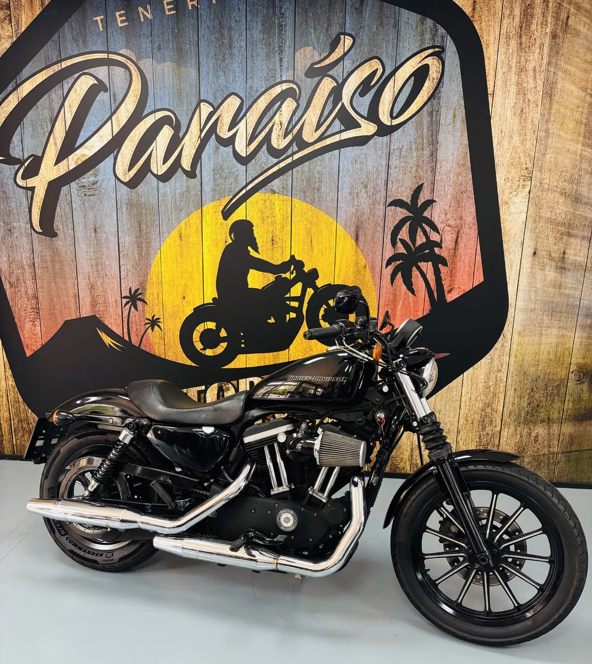 Harley Davidson Sportster 883cc