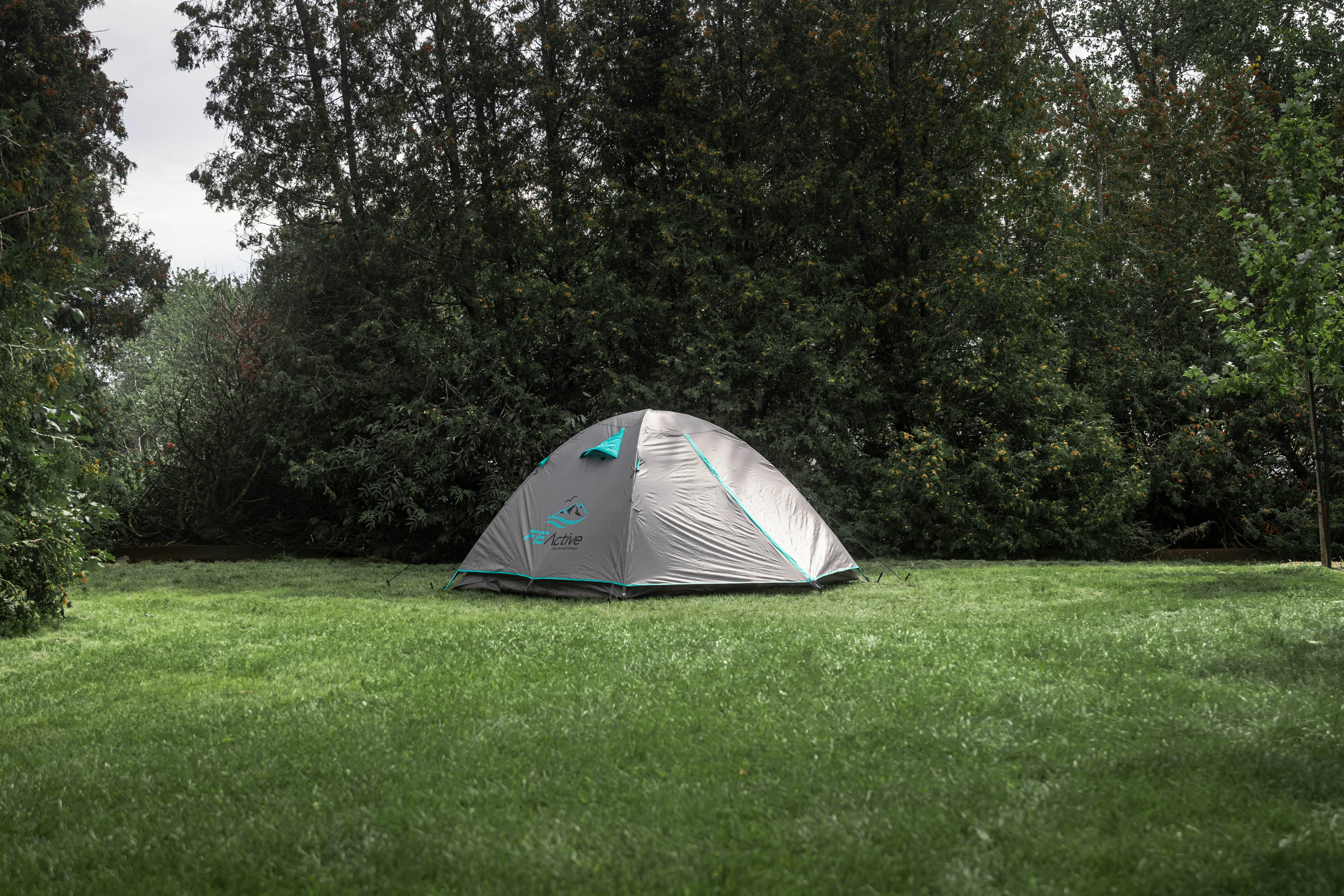 Tipi 4 