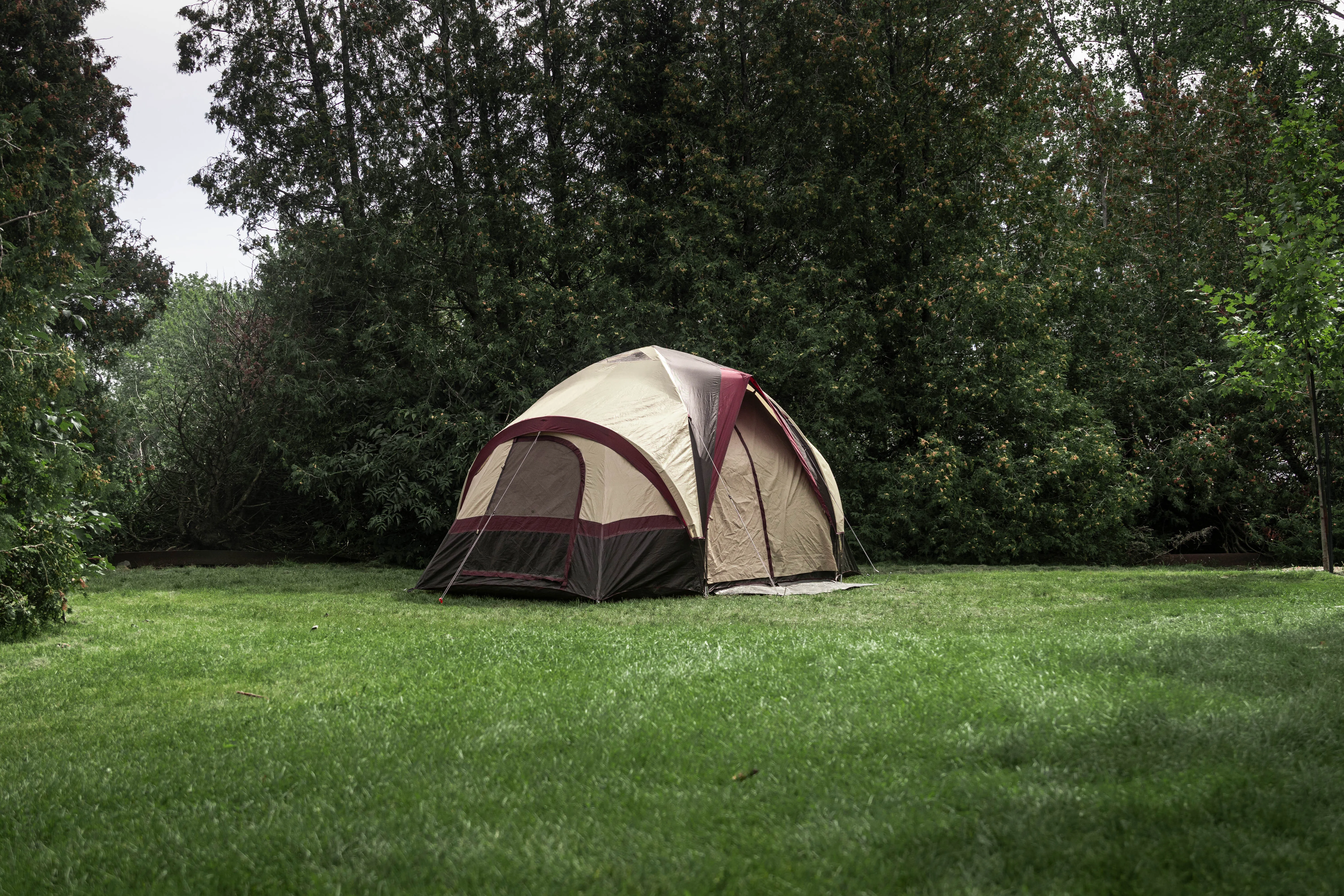 Tipi 6 