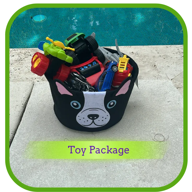 Toy Package