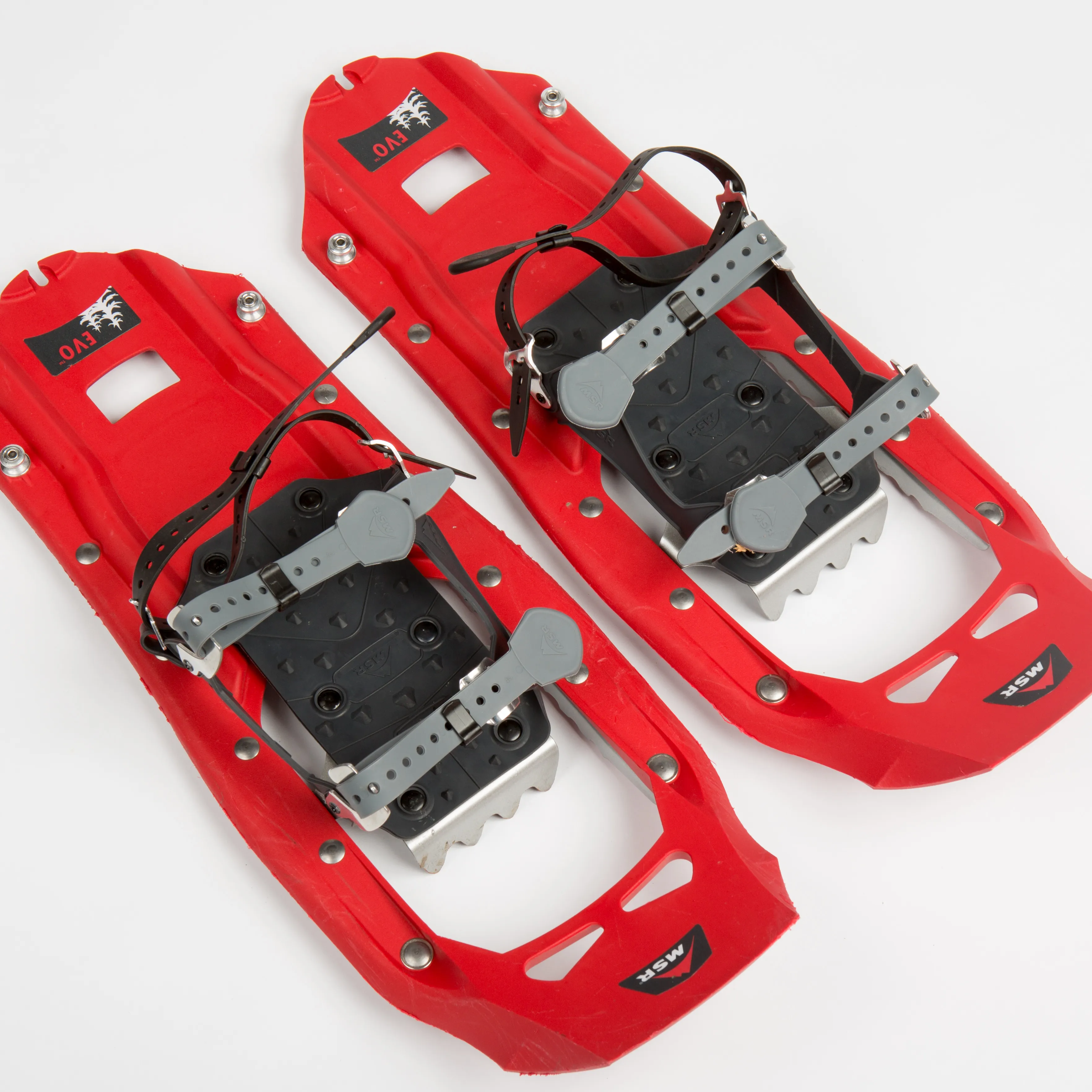 Snowshoes