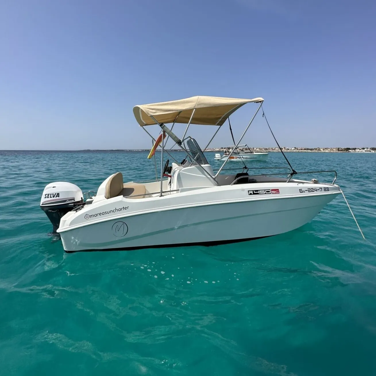 Remus 450