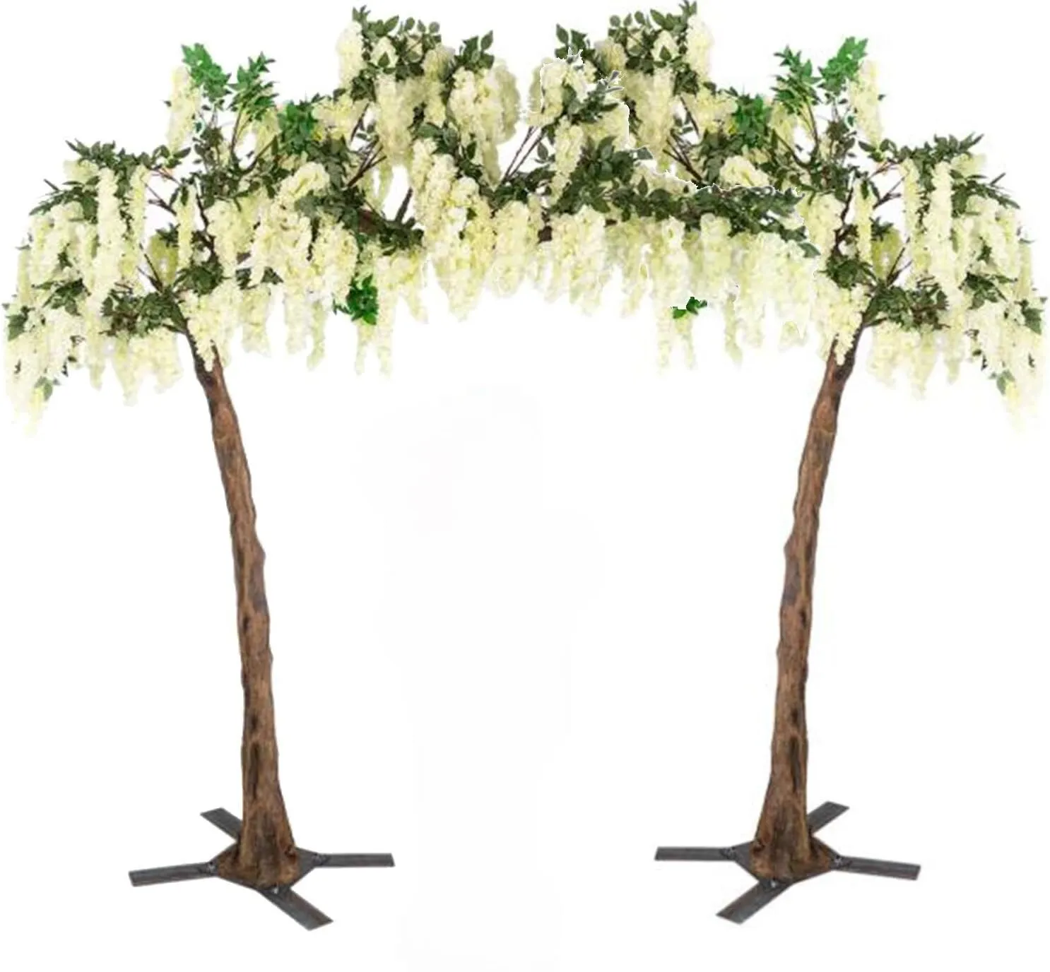 Wisteria Trees
