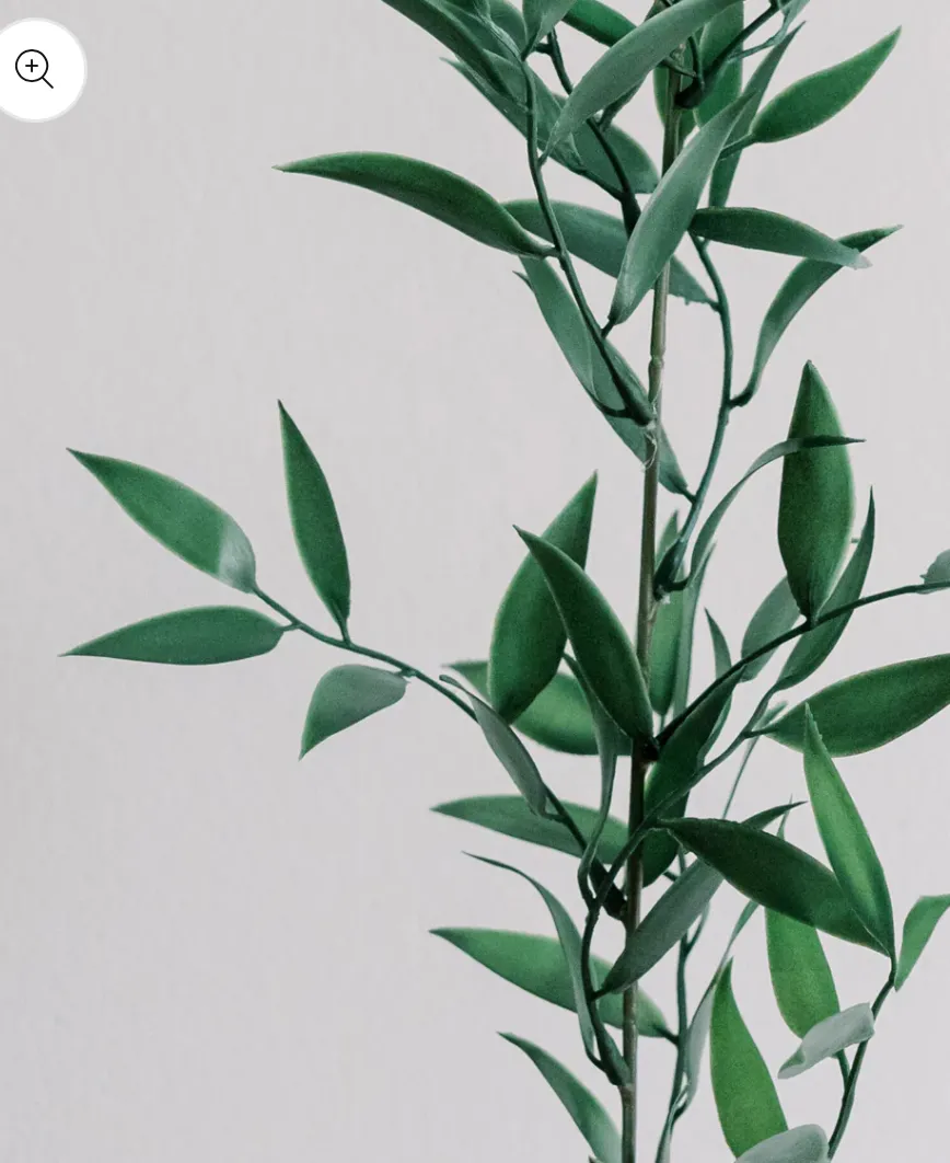 Lush Everlasting Faux Ruscus Bundle (set of 10 stems)