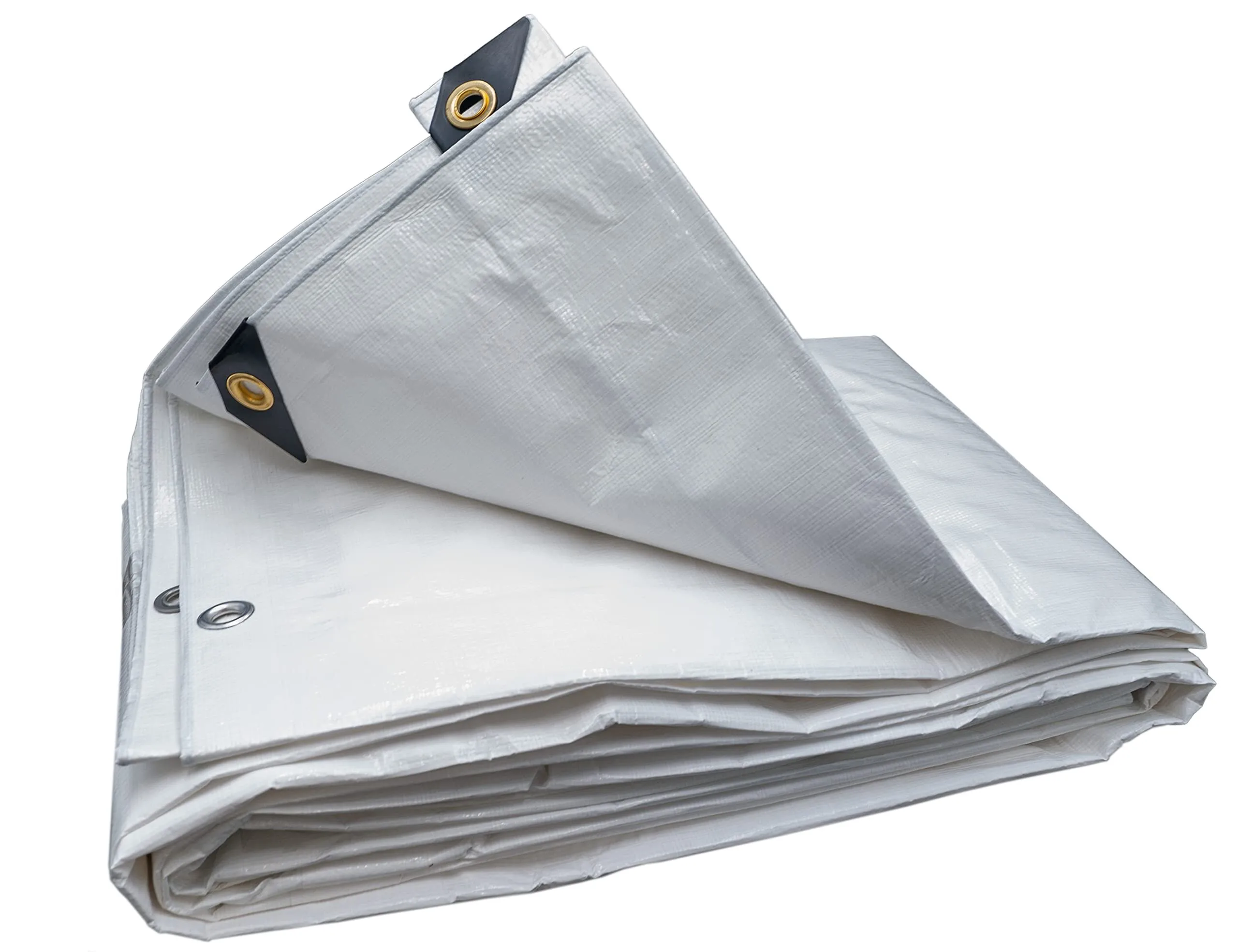 Tarp