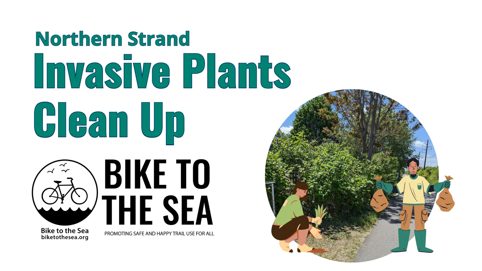 Invasive Clean Up