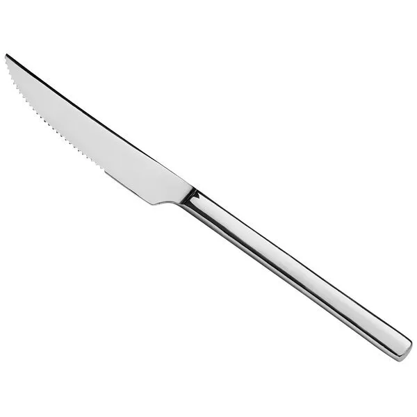 Stainless Steel Steak Knife