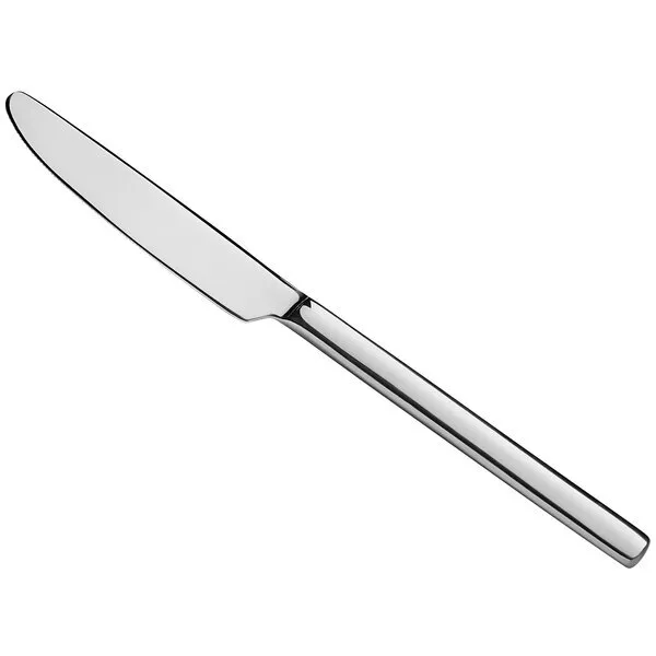 Stainless Steel Dinner Knife