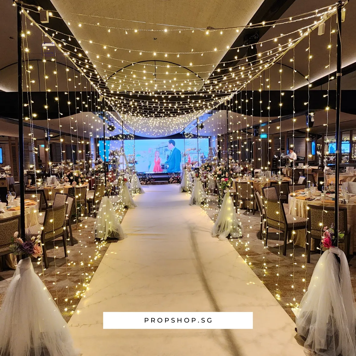 FAIRYLIGHTS-04