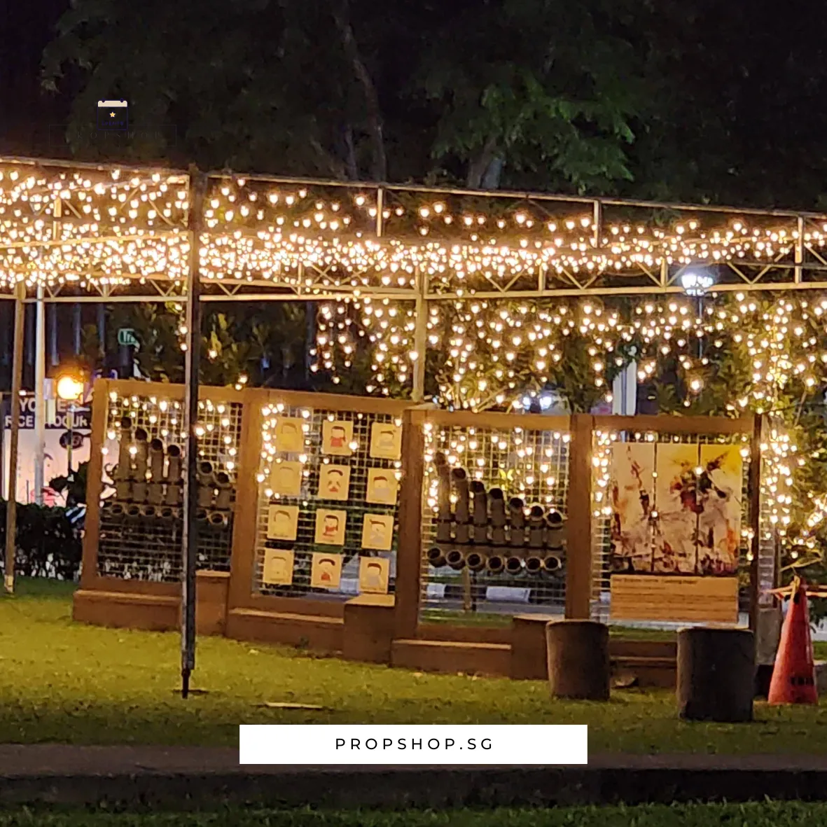 FAIRYLIGHT-02