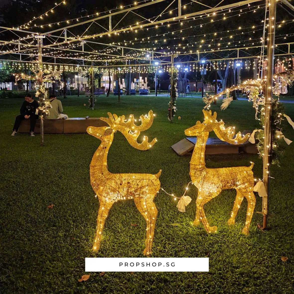 REINDEER LIGHTS
