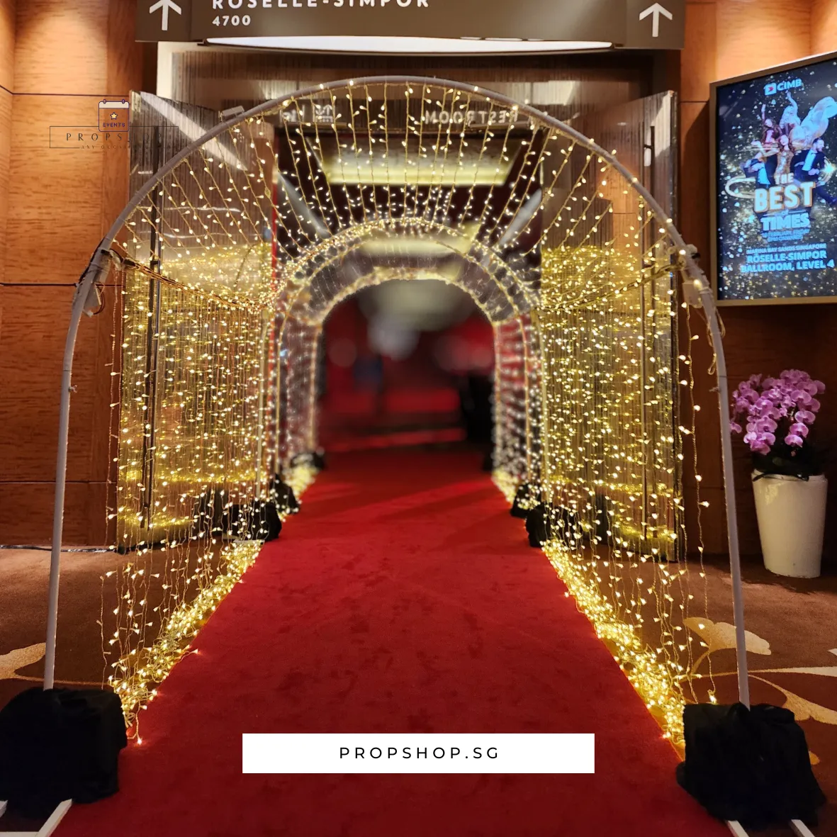 FAIRYLIGHTS-01