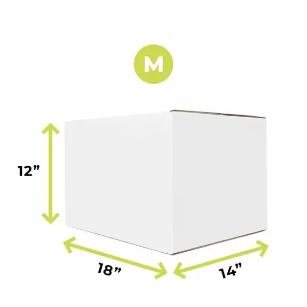 Medium Moving Box