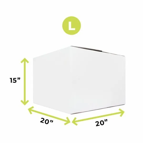 Large Moving Box