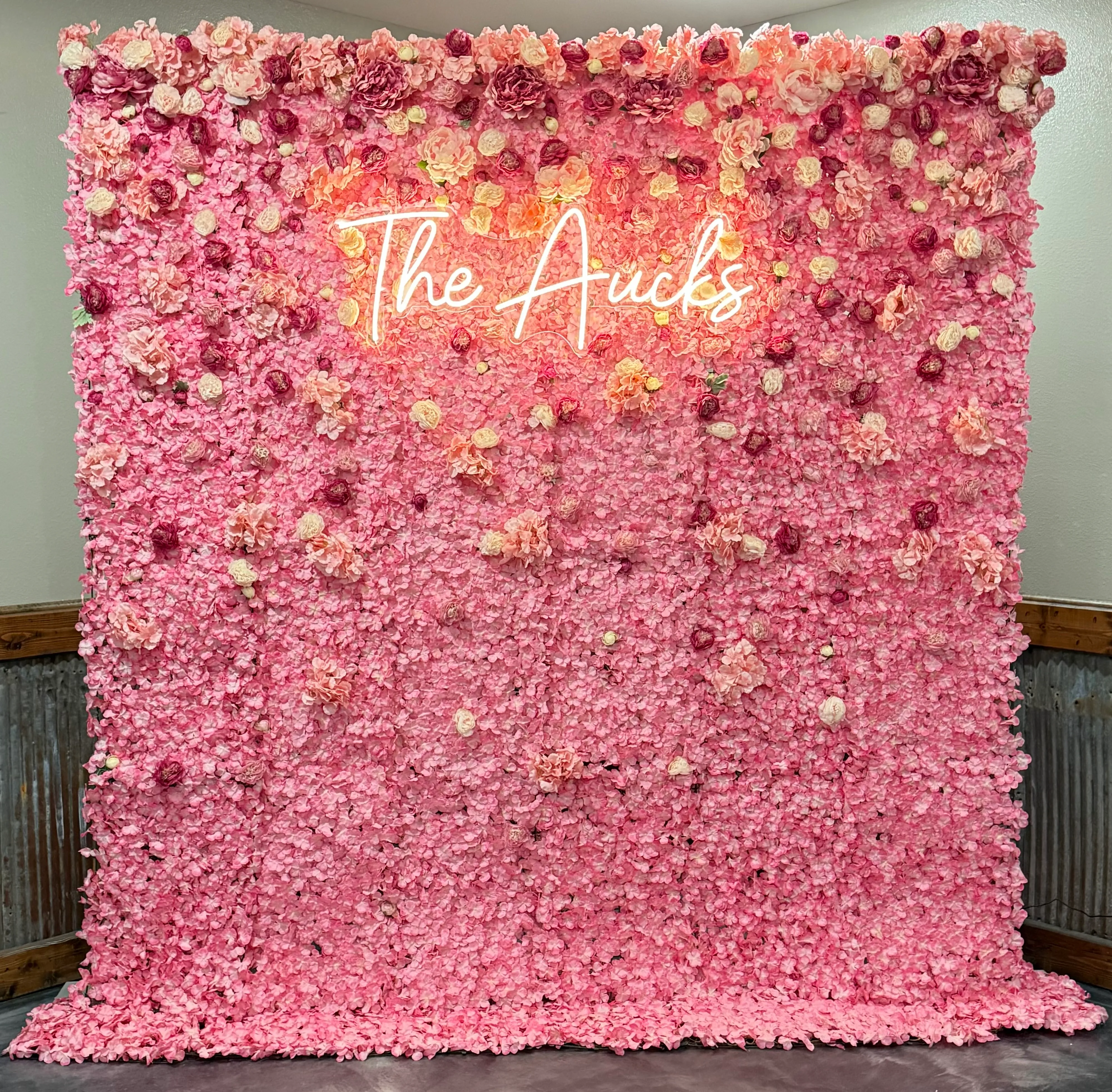 Pink/Rose Backdrop