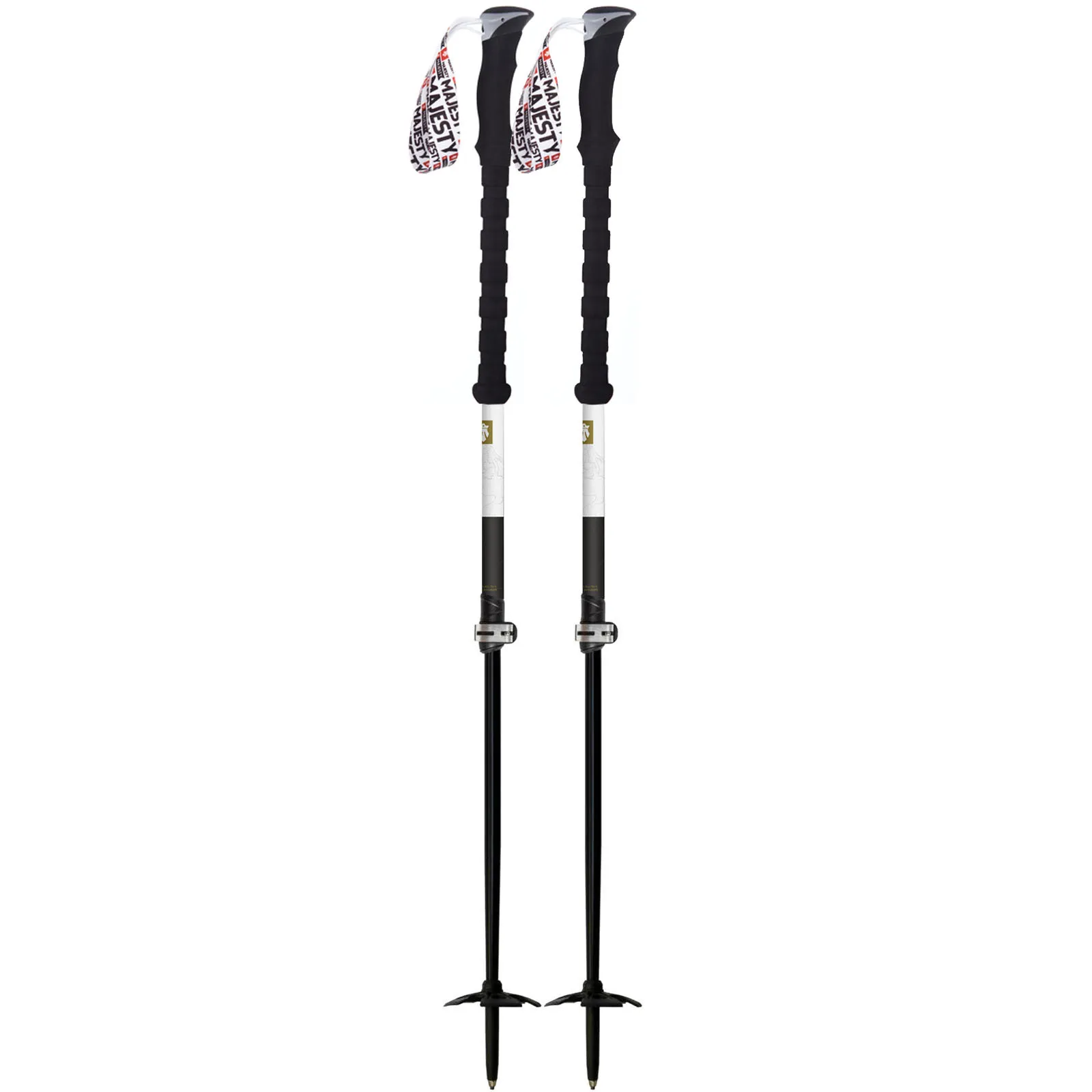 Ski Poles