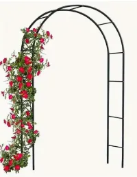 Arch